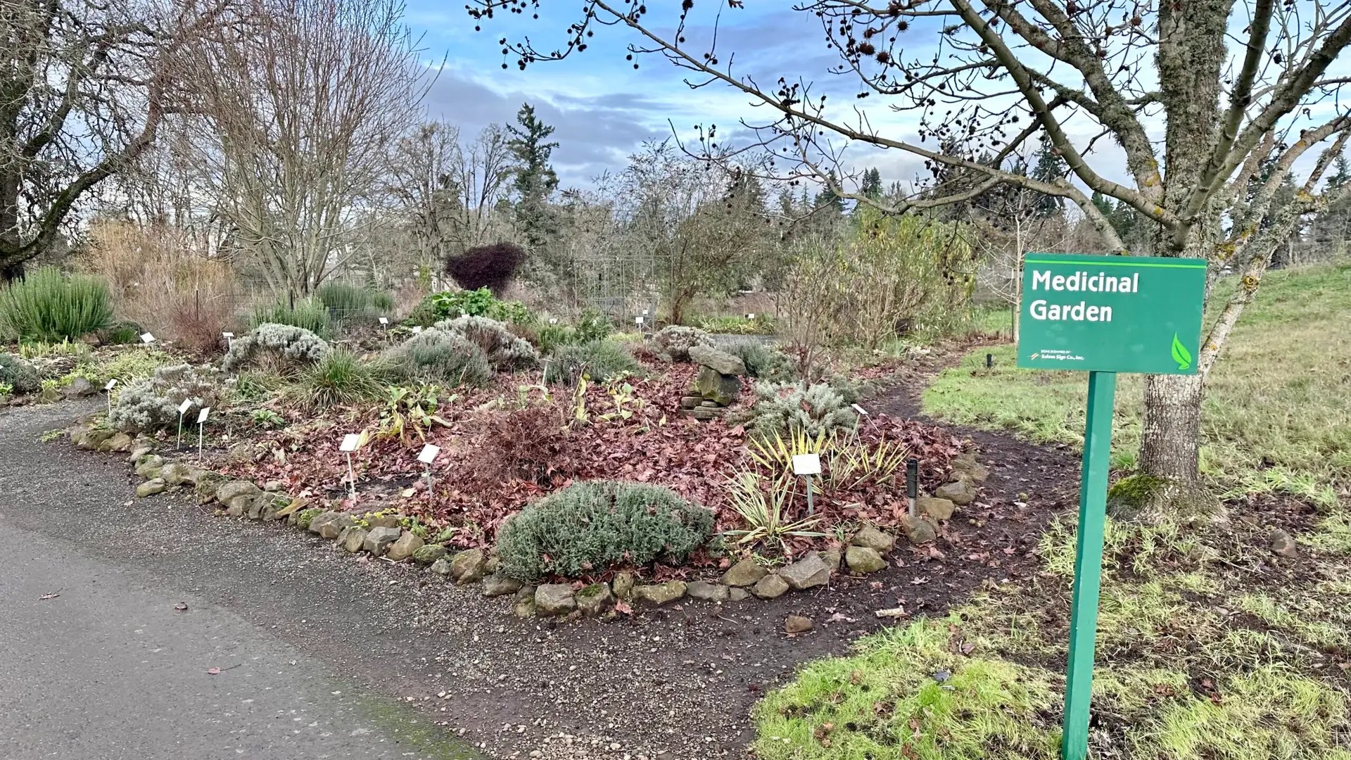 The medicinal garden