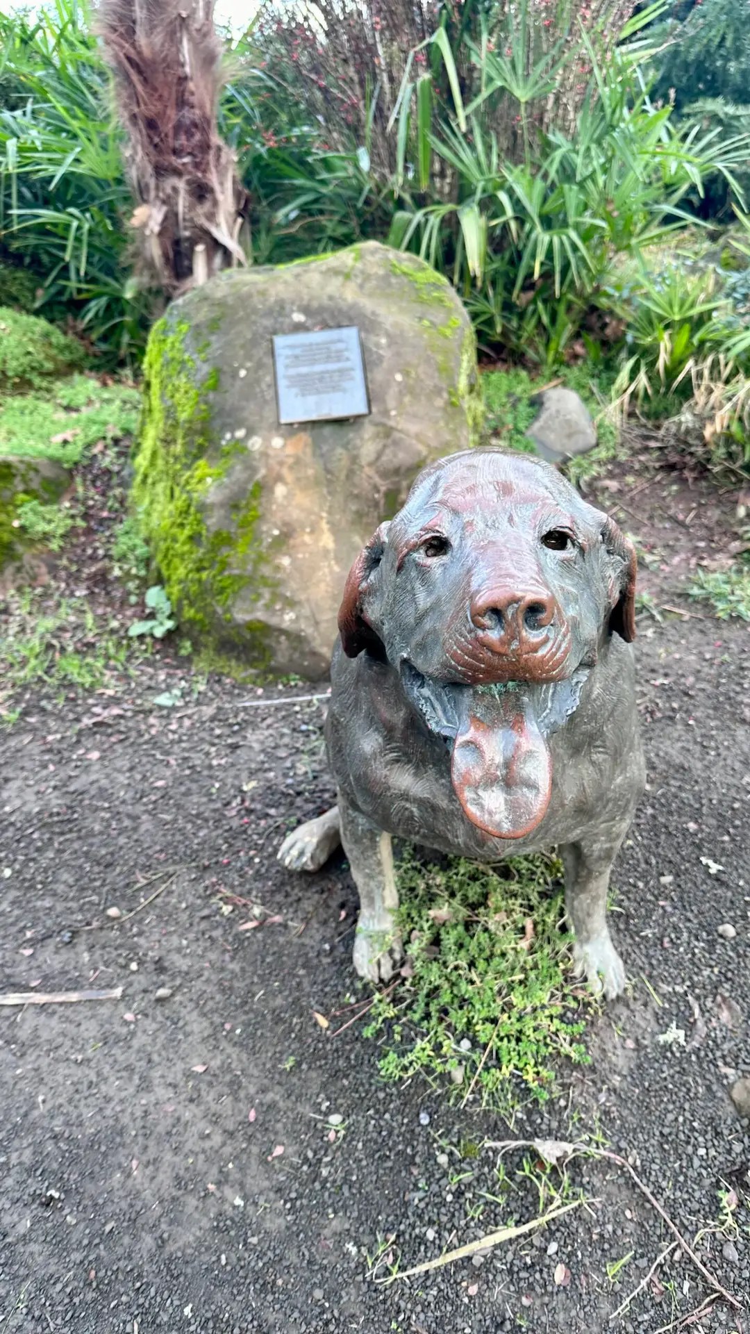 Here's Bobbie again!