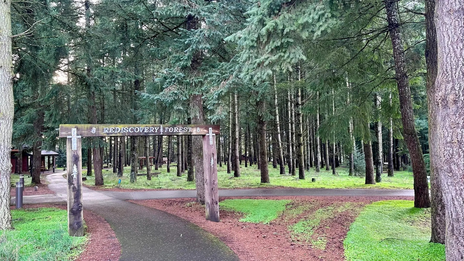 Rediscovery Forrest was quite pretty.