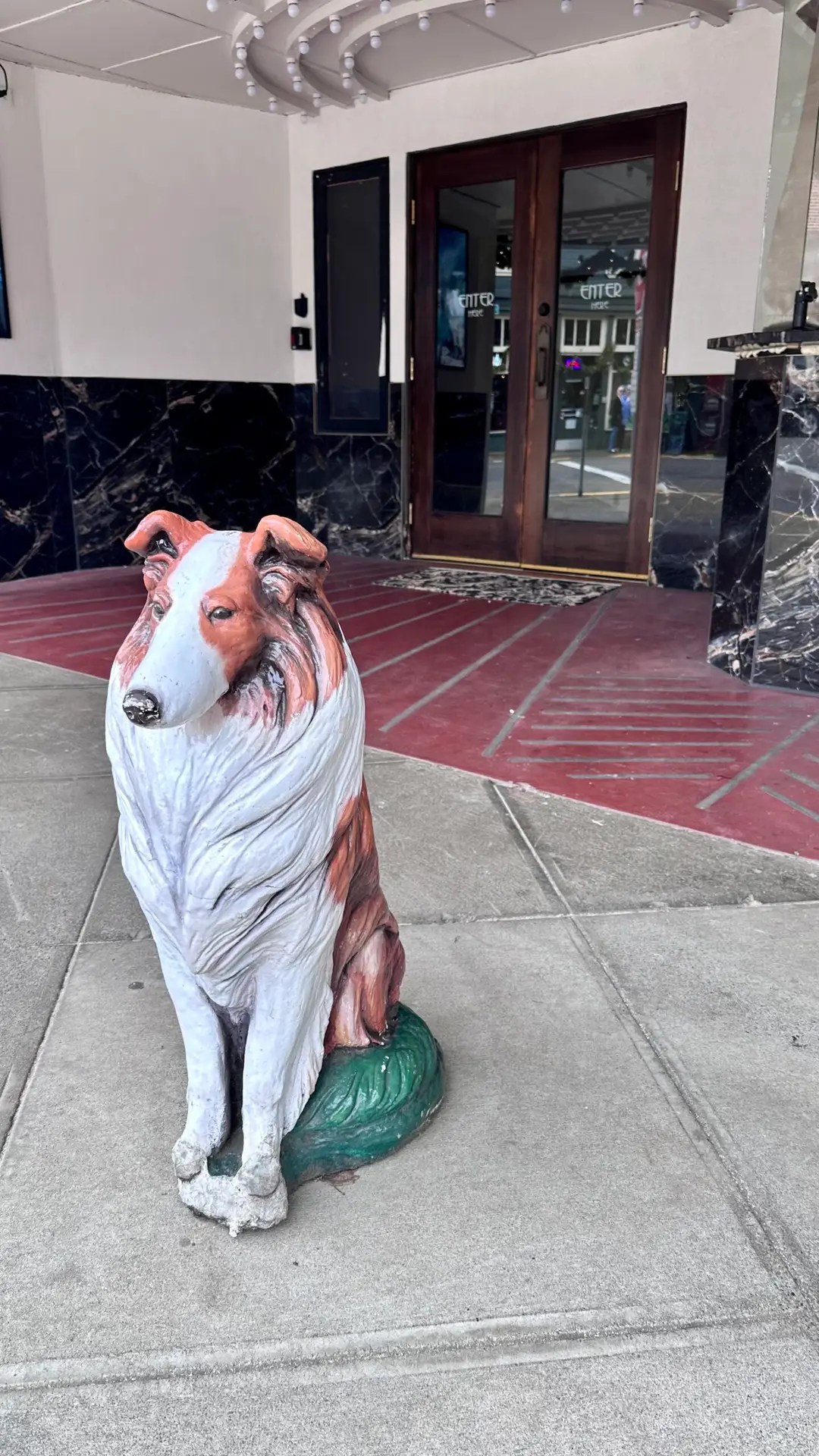 Bobbie the wonder dog