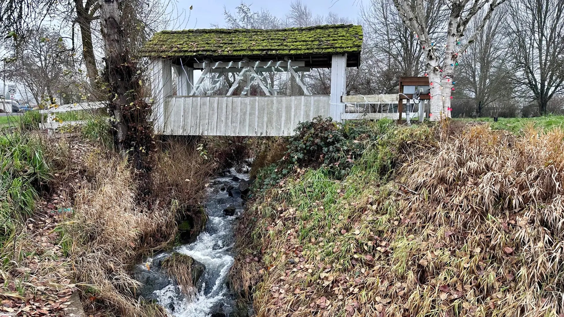 Another view of the pretty bridge.