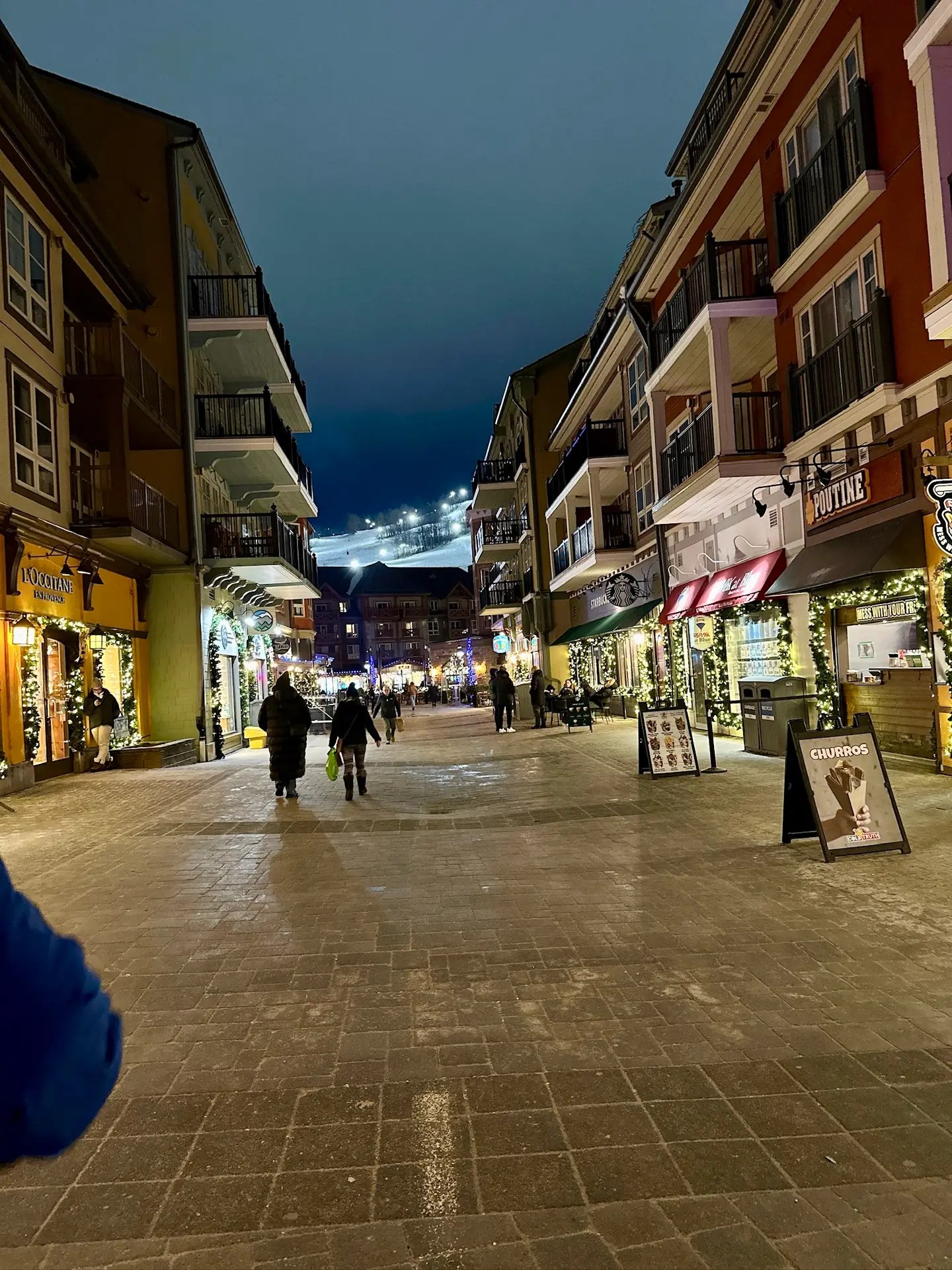 Blue Mountain Village