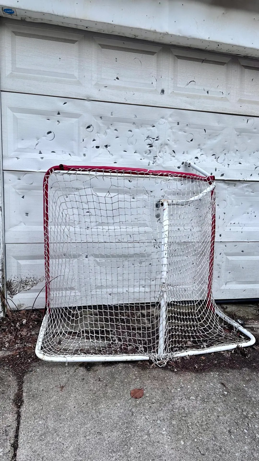 This is what kids in Canada do to garages...