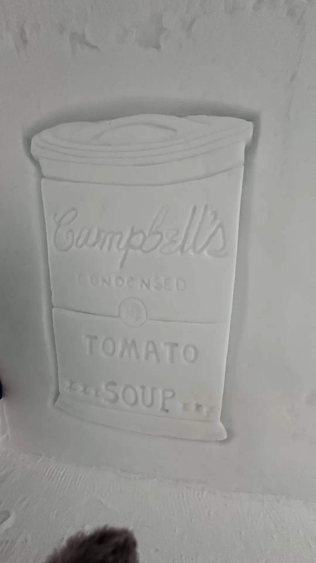 Who doesn't love Campbell's tomato soup?!