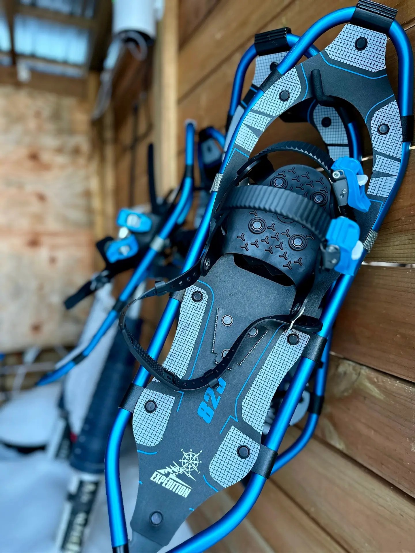 I love that Tricera came with snow shoes