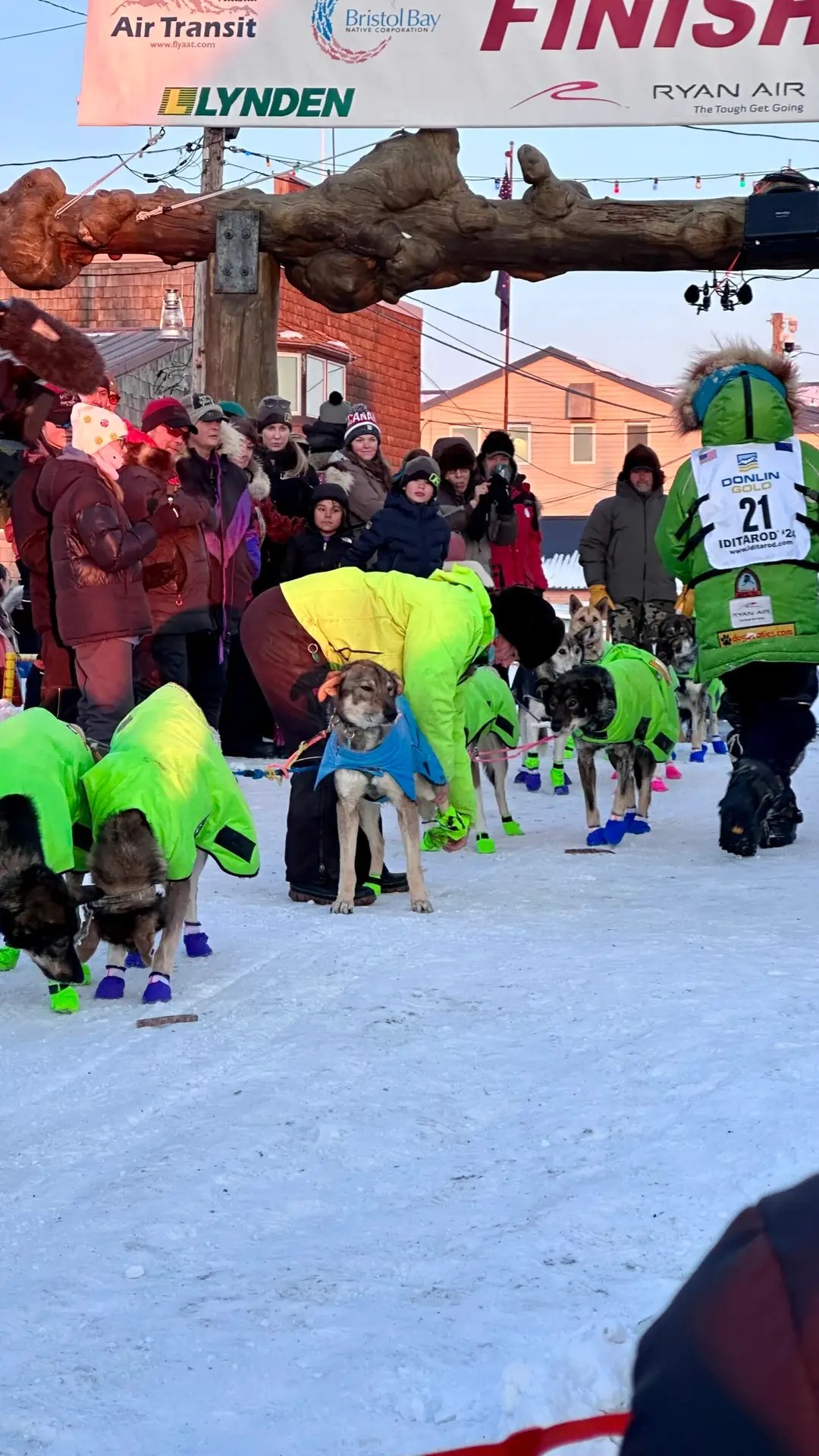 Ryan's dogs finally get their booties off