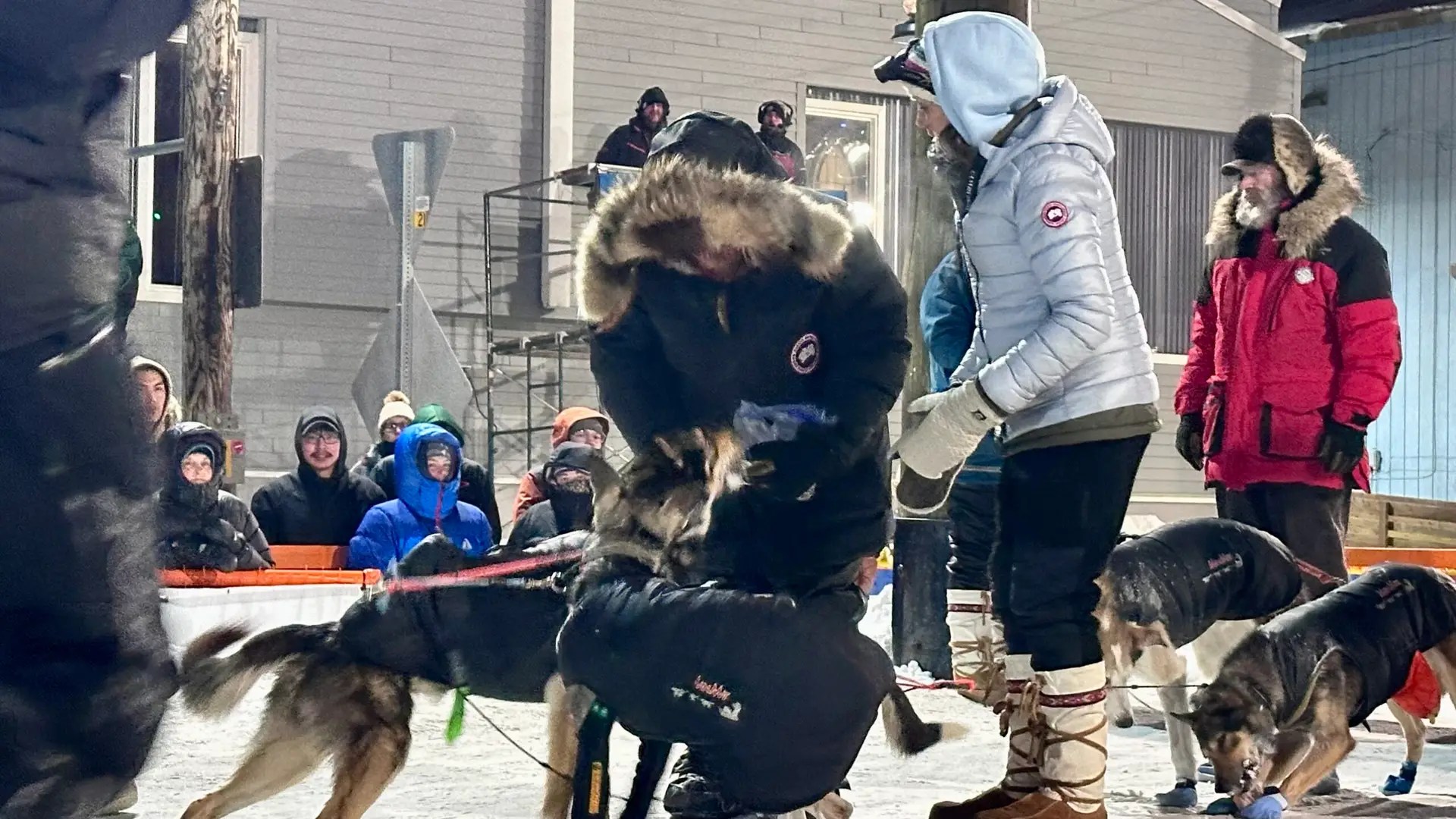 Jason Mackey, in 16th place, treating his excited dogs