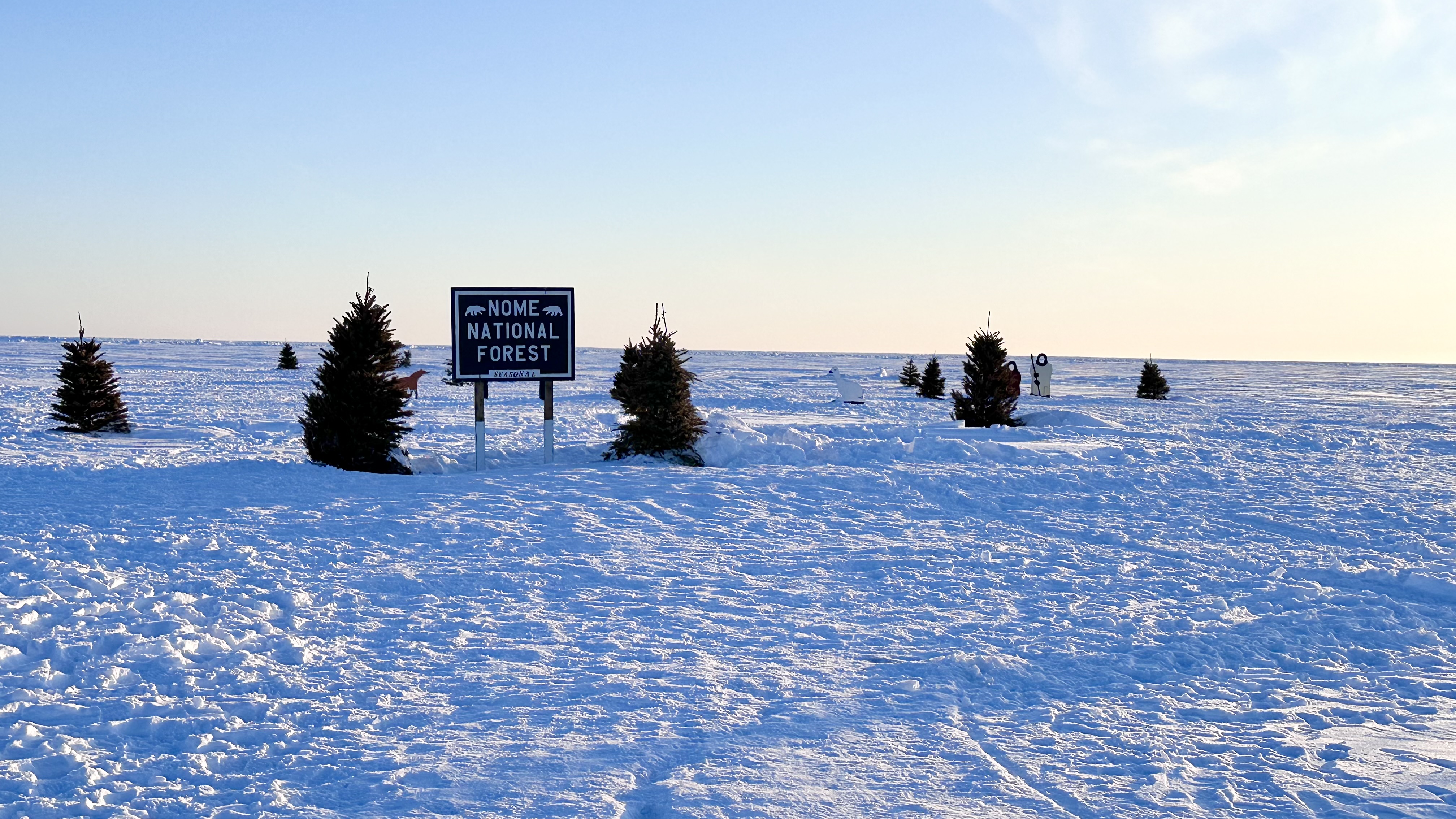 What a brilliant idea!