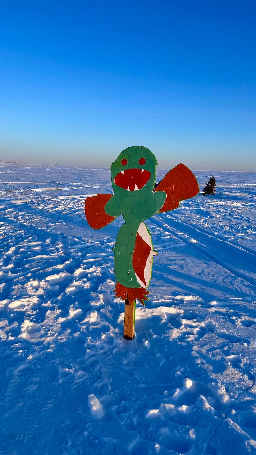 A cactus...who woulda thought?!