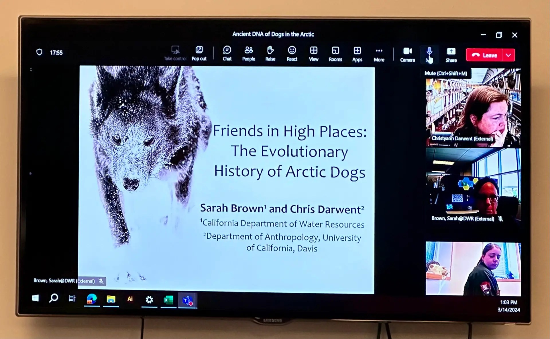 The Arctic Dog presentation