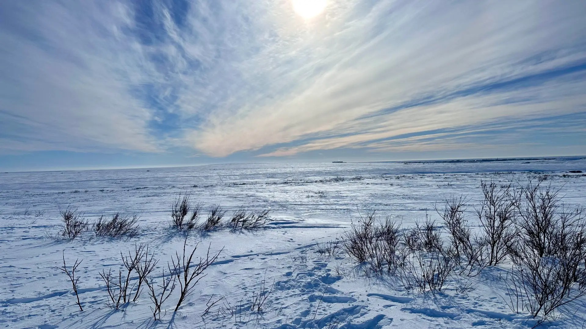 I just love the nothingness.