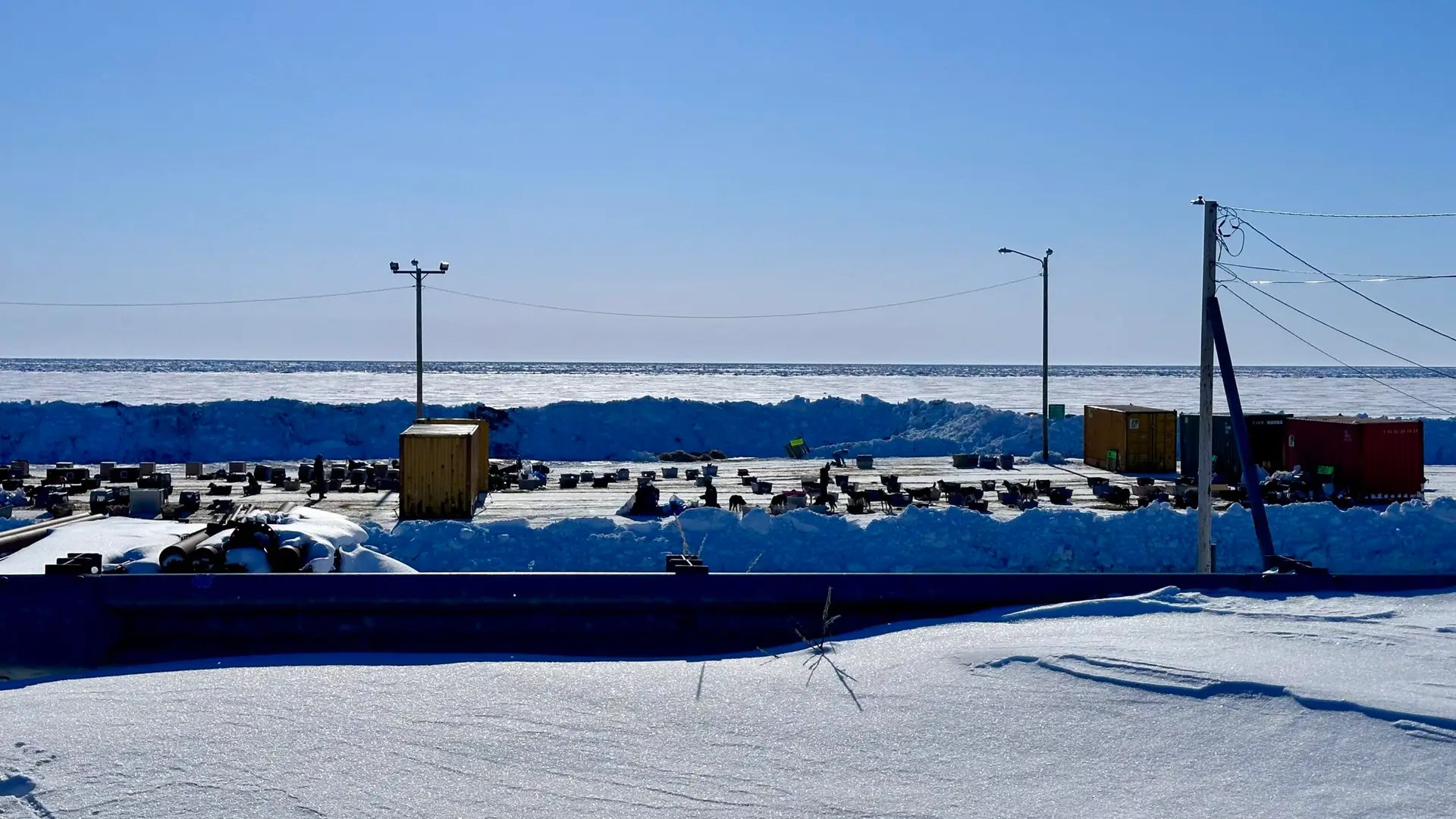 This is where all the doggies stay.