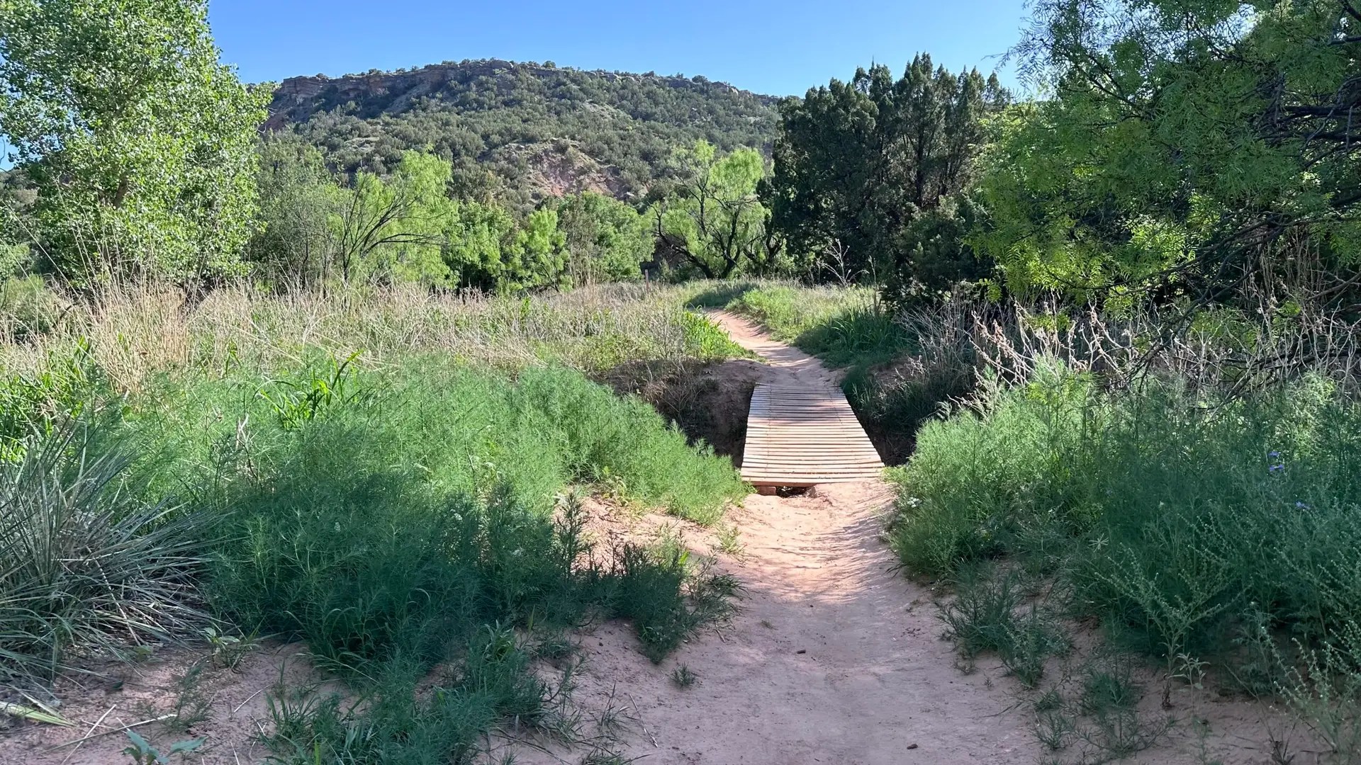 I love trails with bridges of any sort.