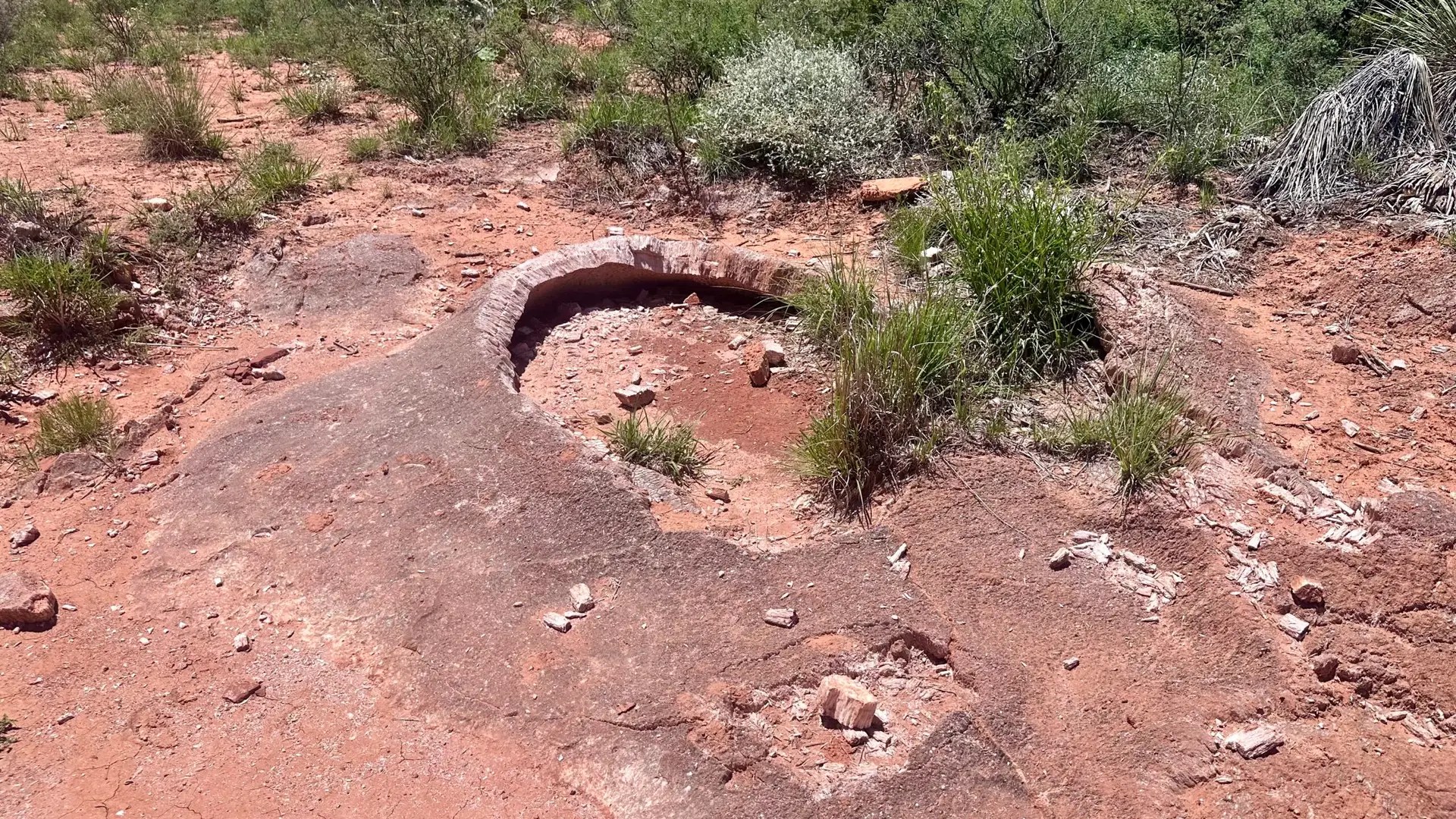 So many of the rocks look like mini volcano craters!
