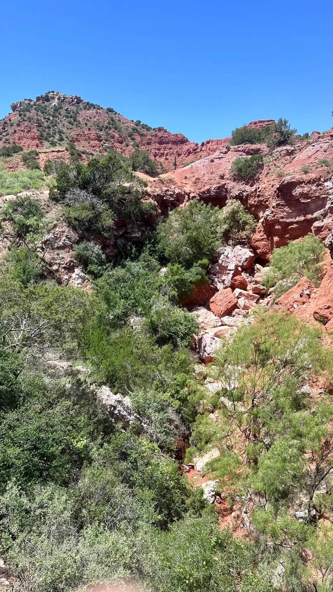 This is looking back towards the bench on a rather sketchy trail. What the heck.