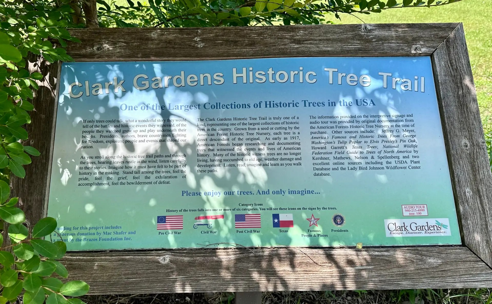 I’m not all that into trees, but this is pretty neat