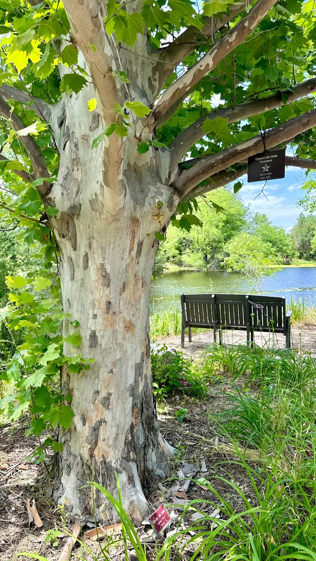 Ban man, it's beautiful...