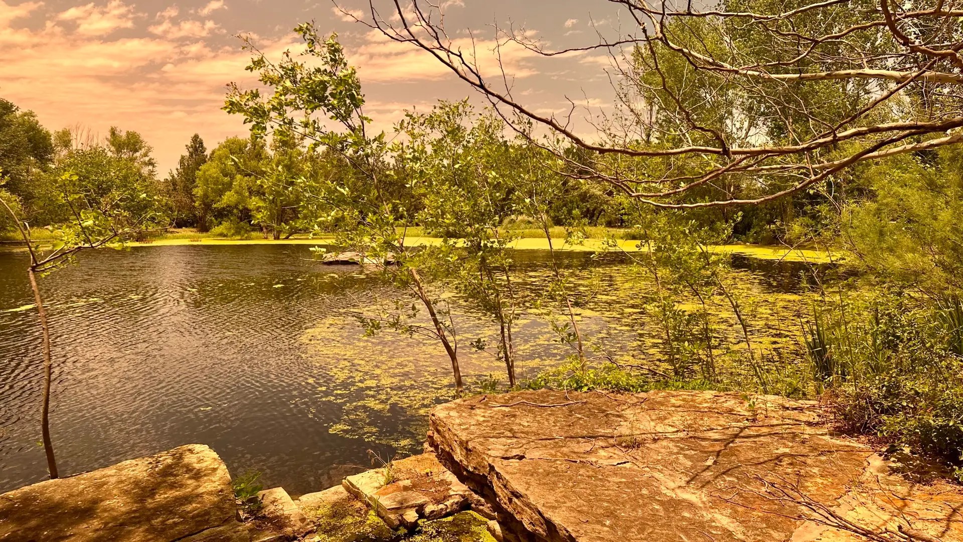 This is the view through my sunglasses.