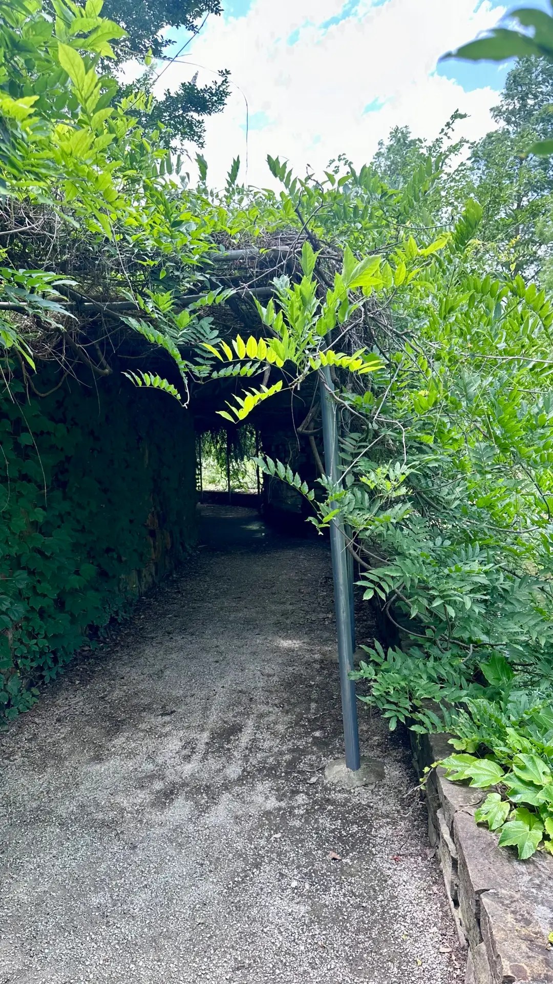 I like this walkway.