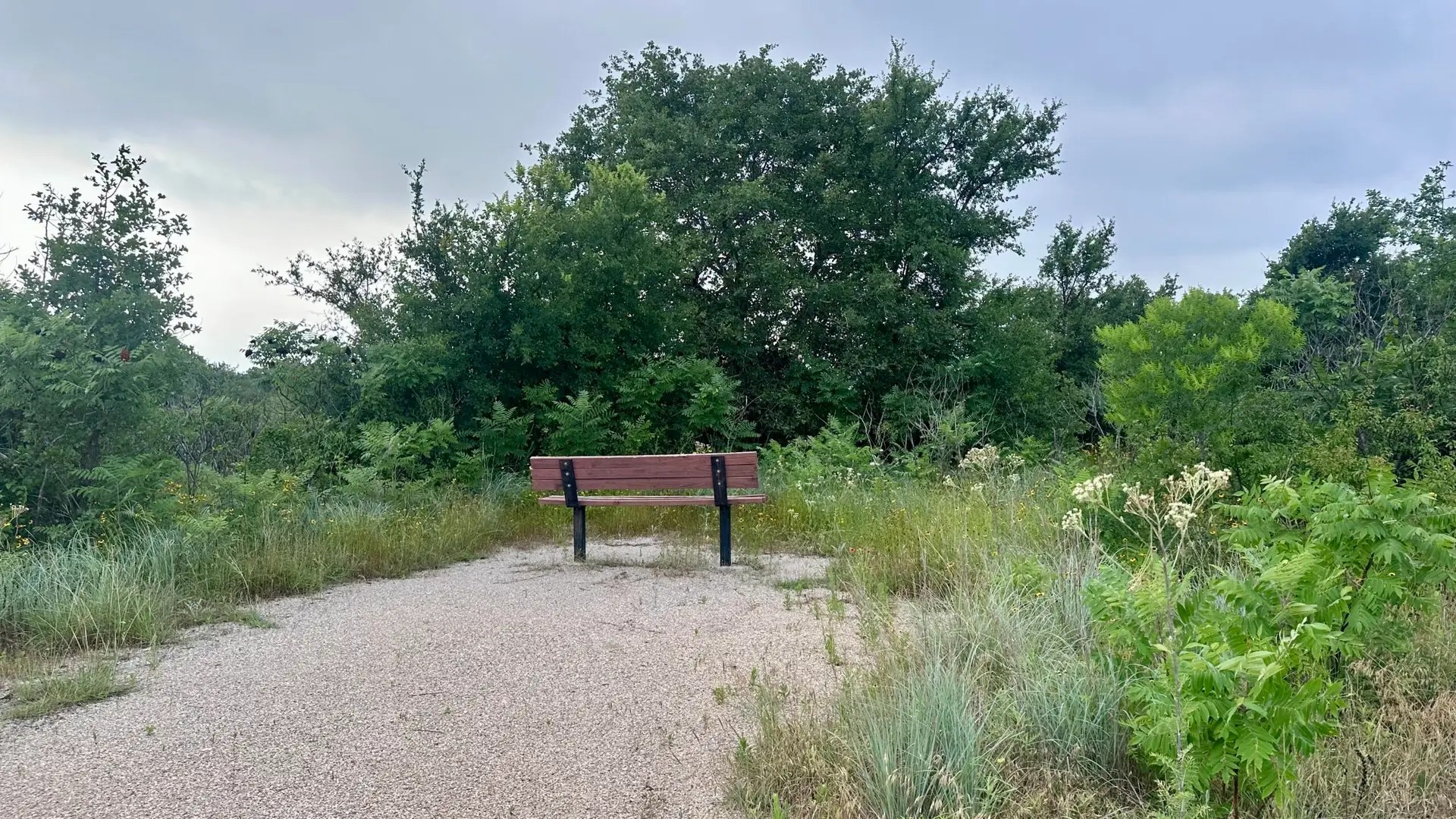 This bench must have been put in a while ago…before everything grew up 😂