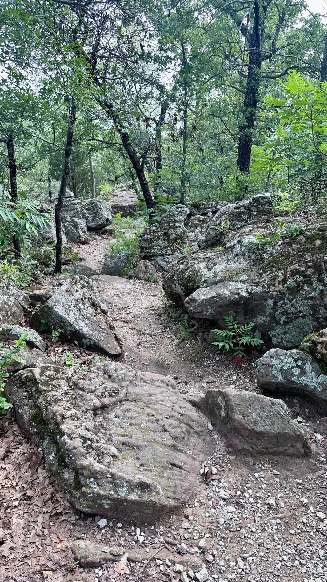 I wished I had time to take this trail.