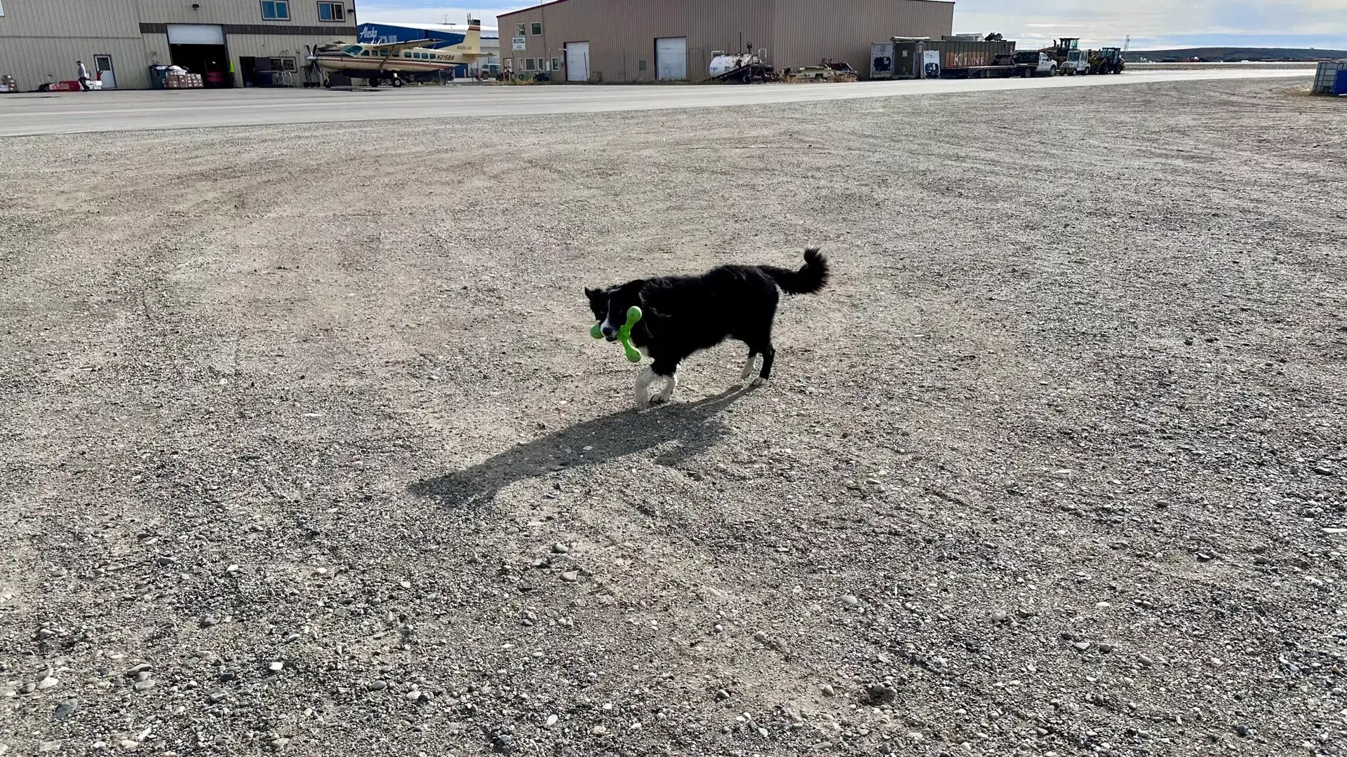 And we’re back. This is Remy. Remy was not too happy that he couldn’t get on our plane, but he was certainly happy we were back 🤣