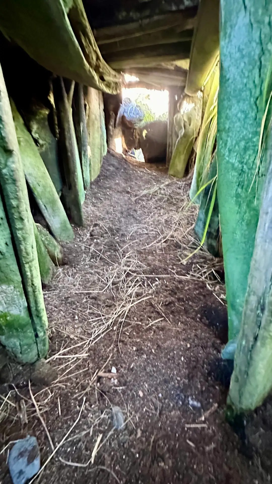 It’s built with whale bones.