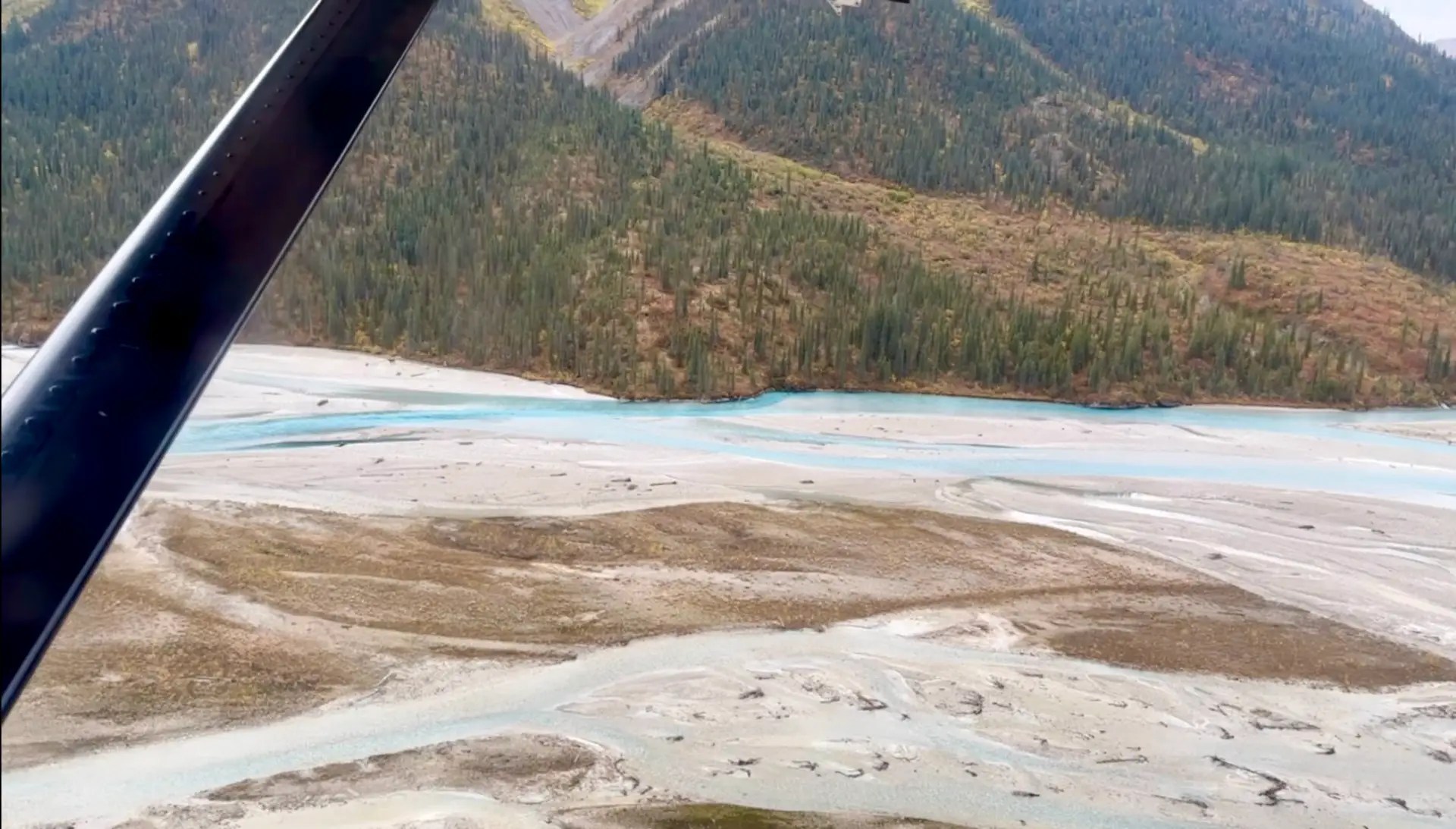 There's a moose here, I promise!