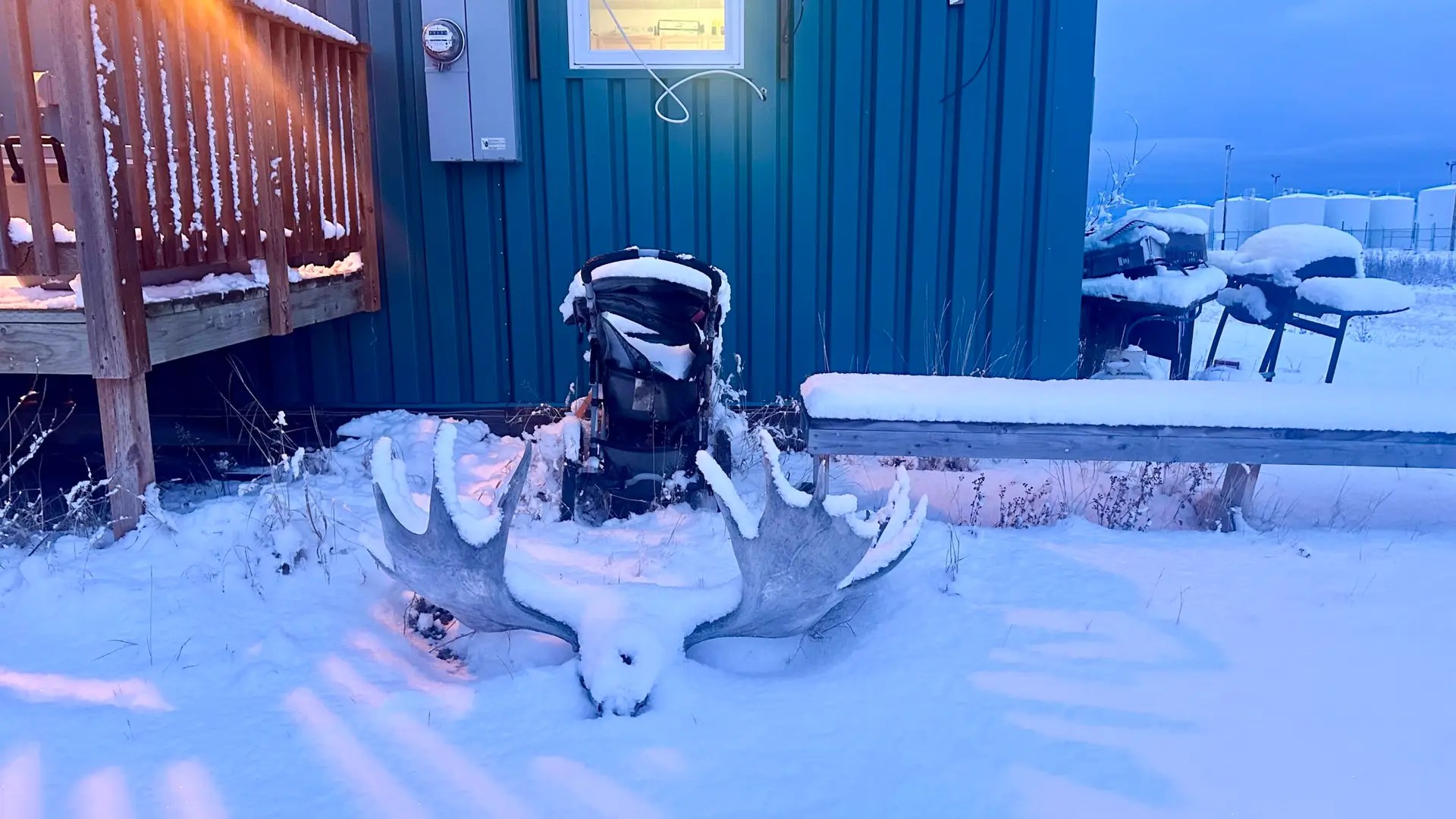 A moose rack and a stroller 😂