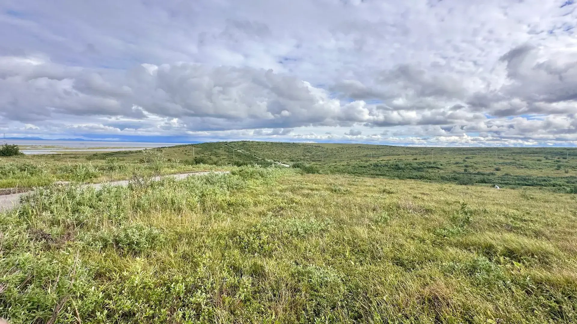 A great berry-picking site!