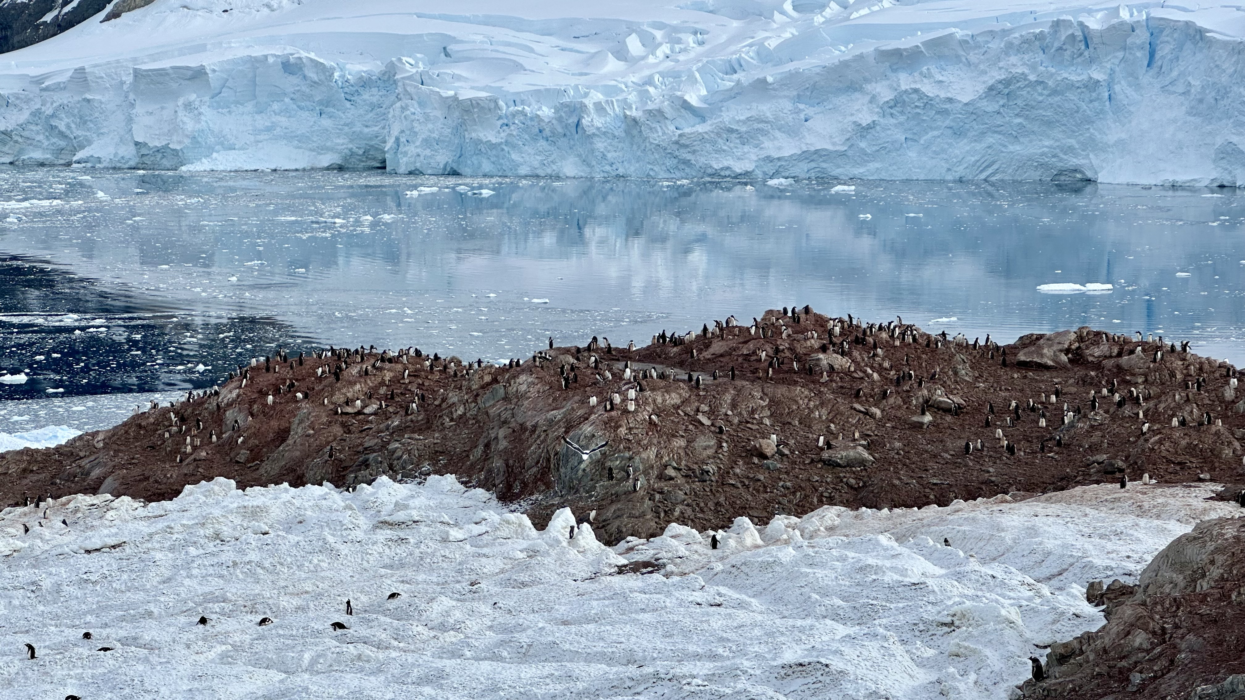 On the Antarctic mainland