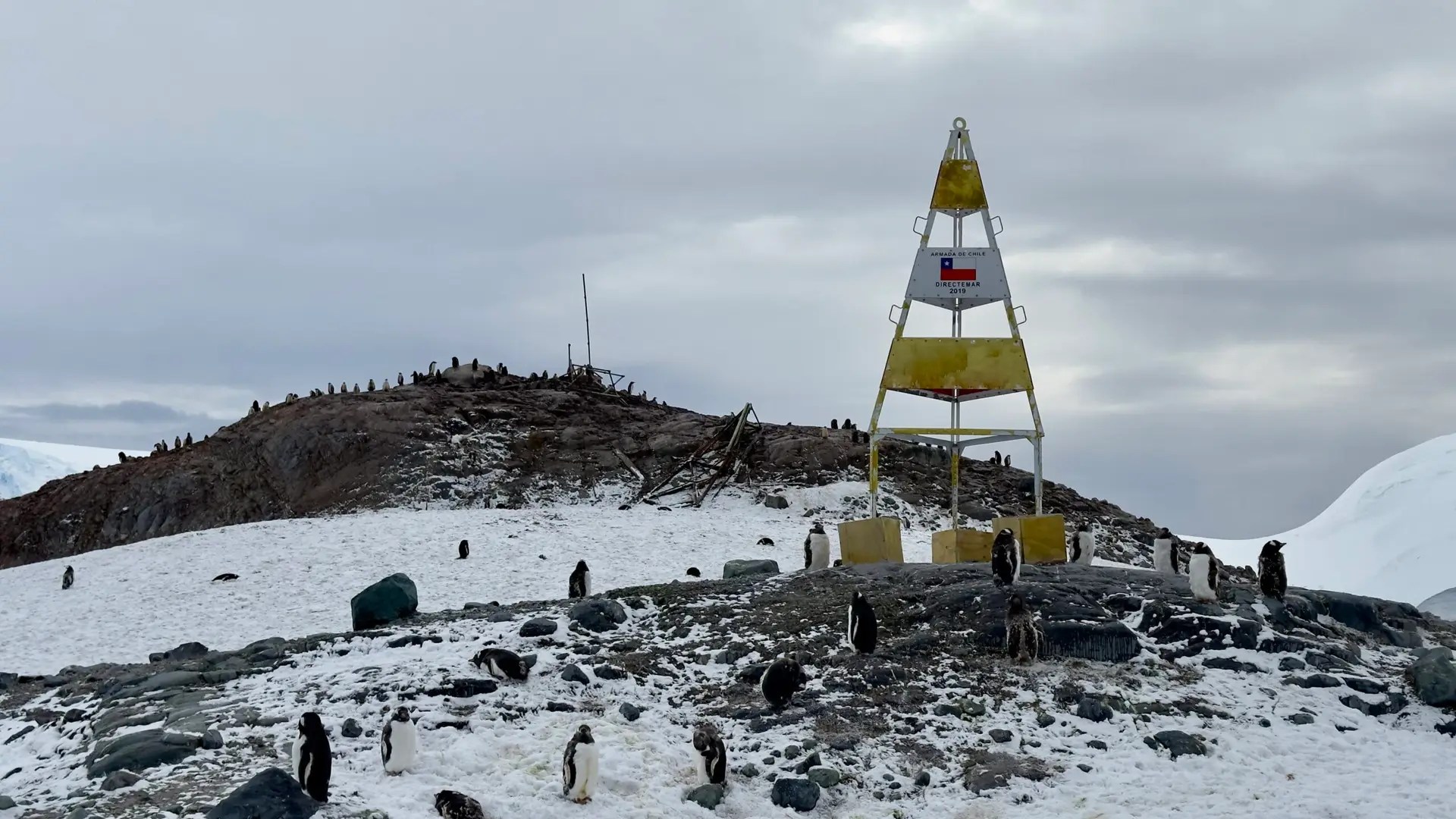 D'Hainaut Island in Mikkelsen Harbour