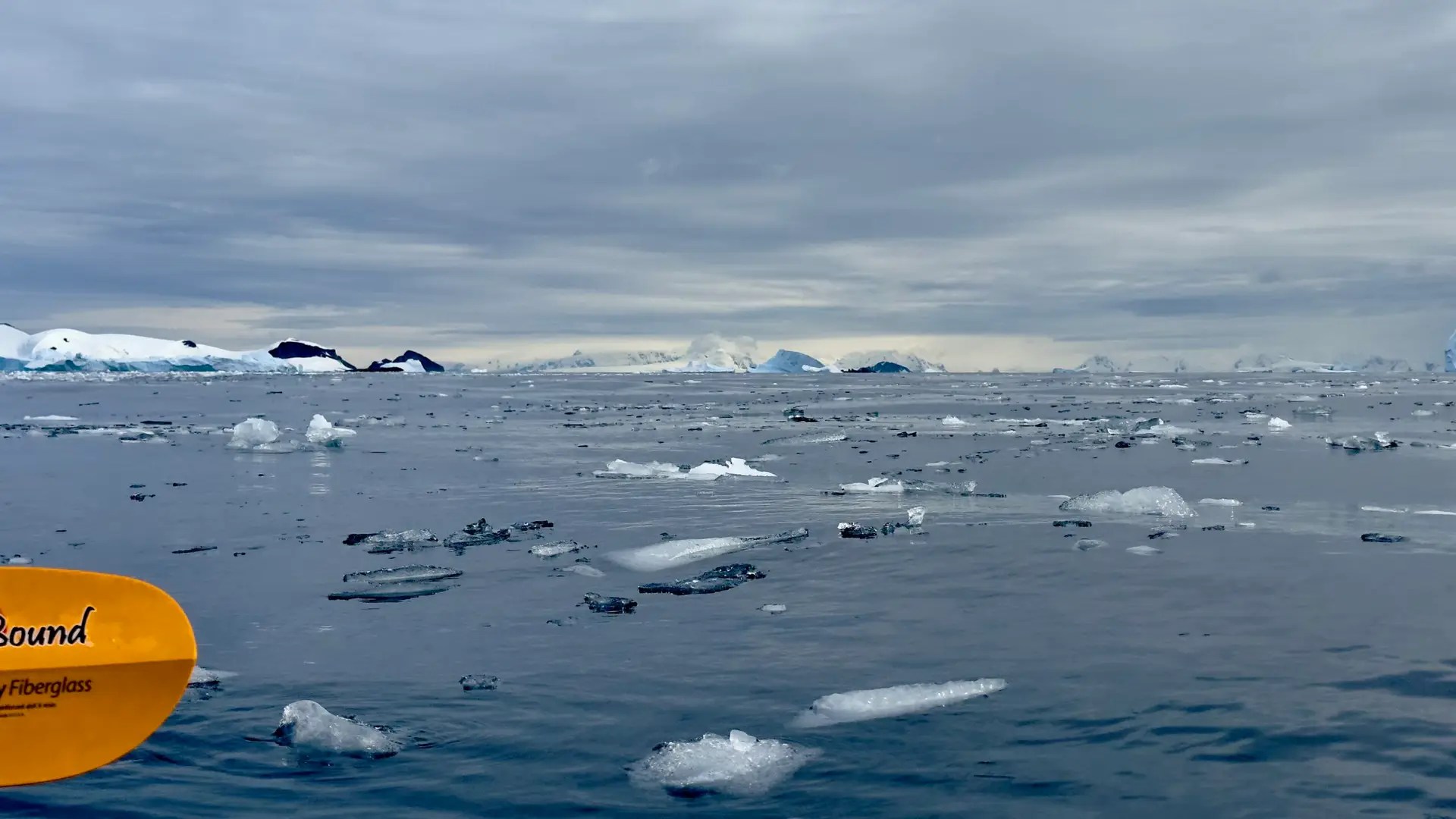 I can't get enough of it...ice is cool.