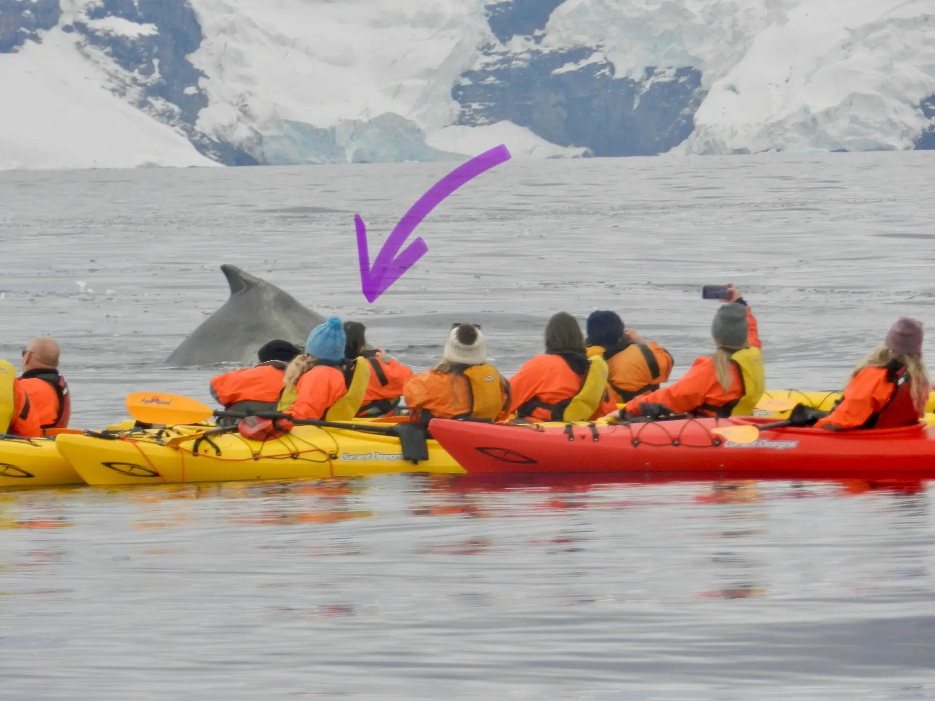 The arrow shows you how close I was...