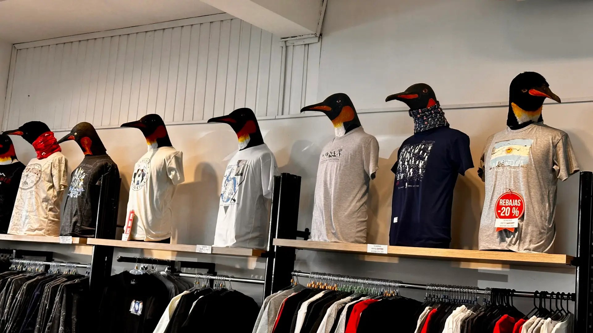 The mannequins are penguins!!!