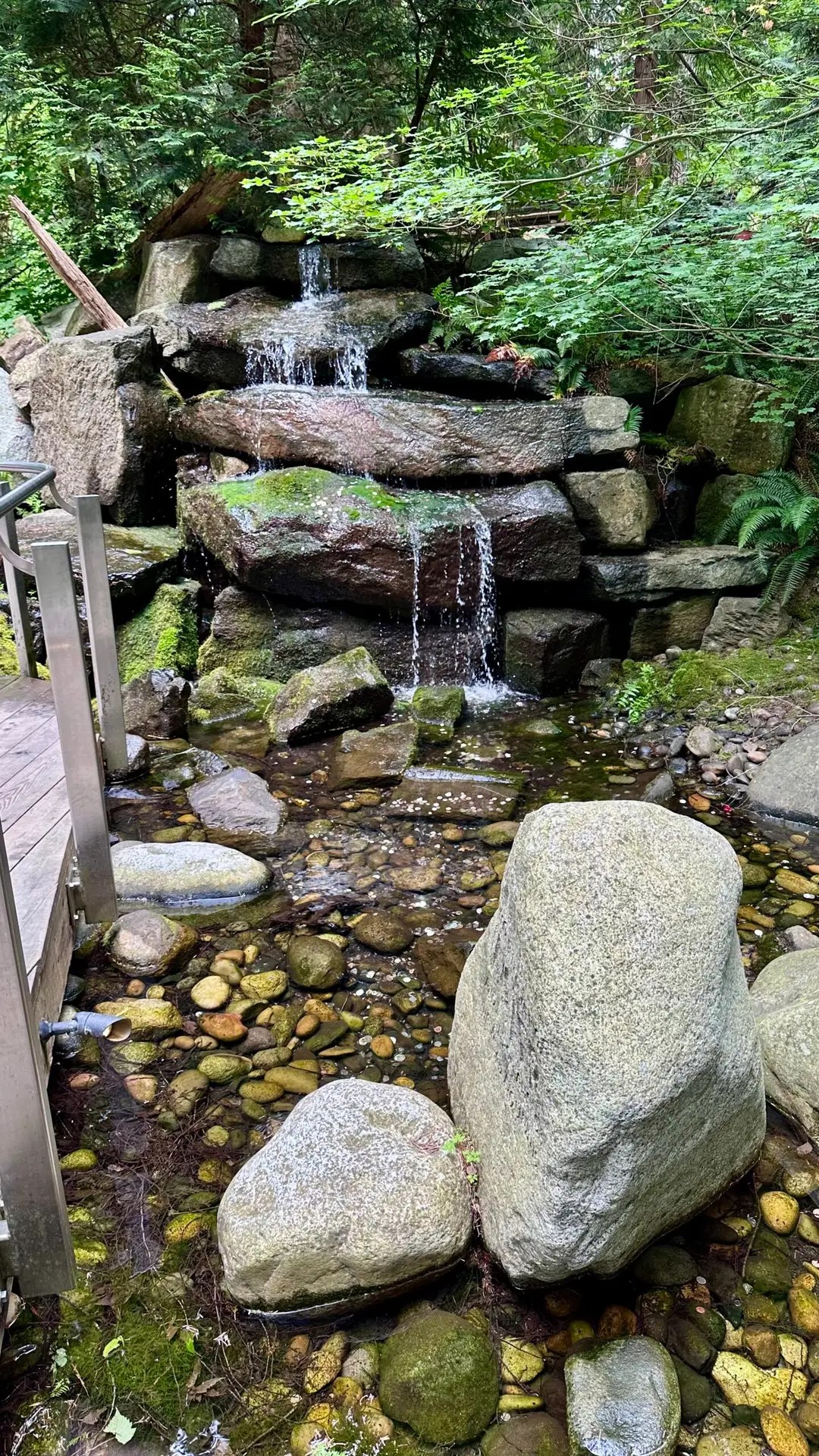 There's just so much beauty here