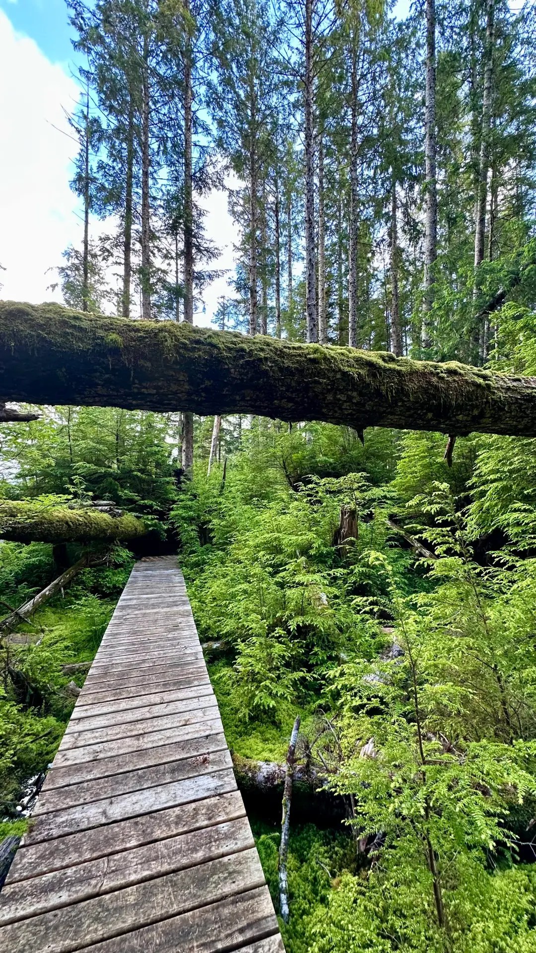 Part of the Eagle's Nest Trail