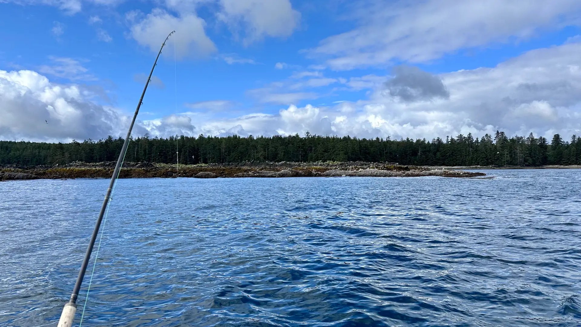 We really got lucky with the weather