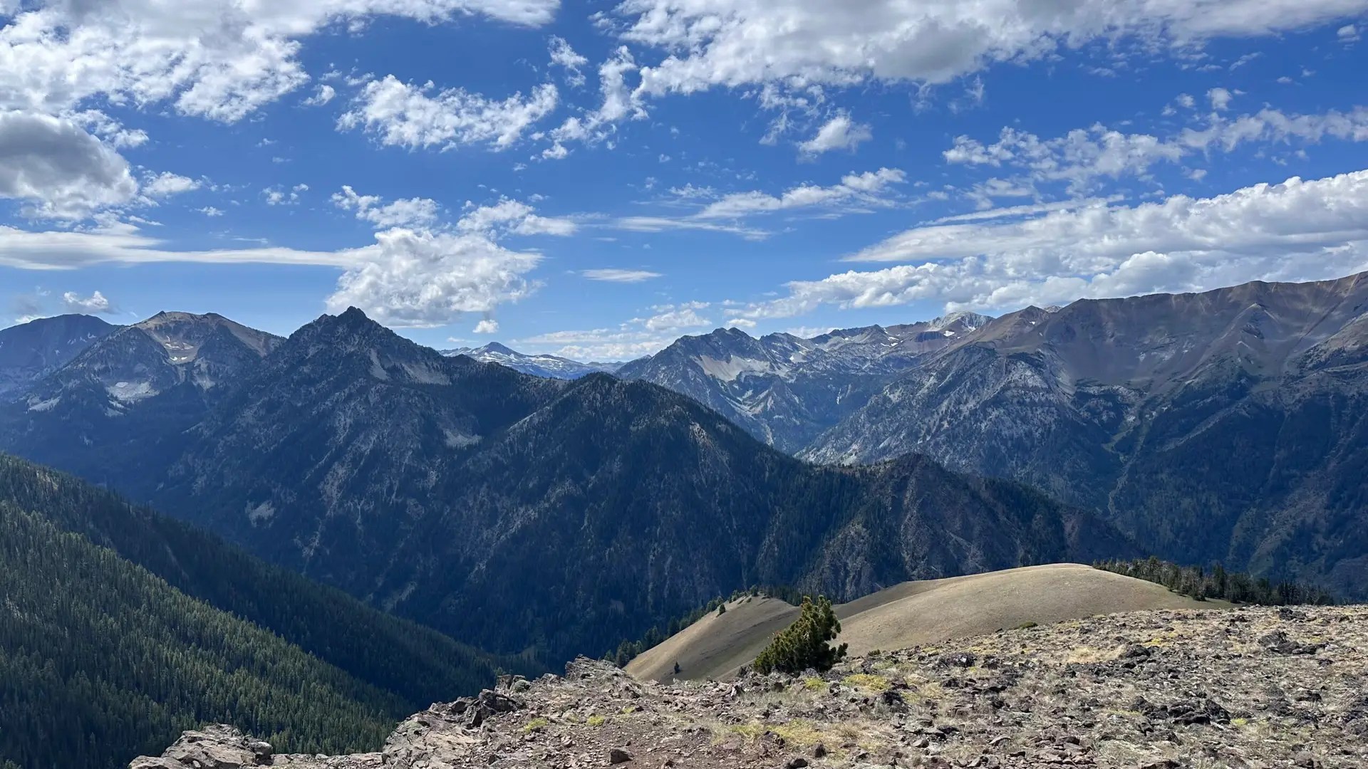 It's absolutely gorgeous!