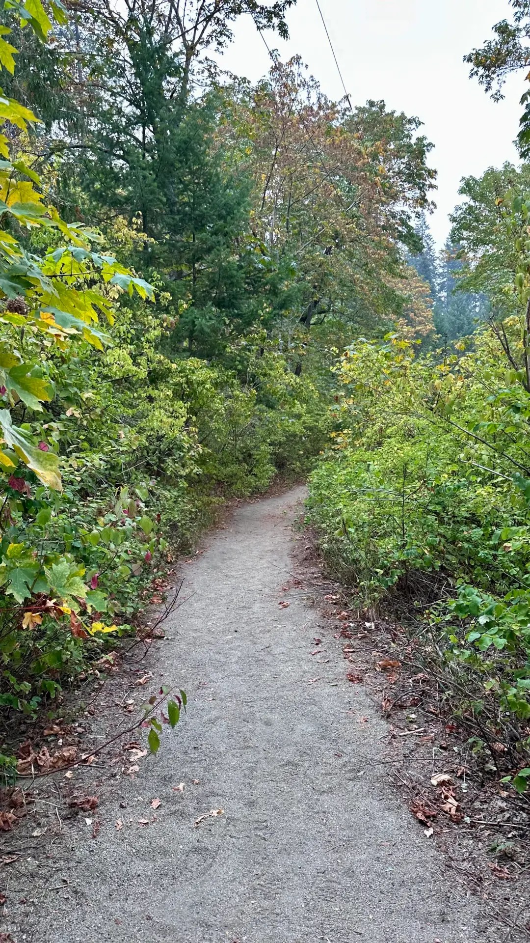 The Old Pipeline Trail