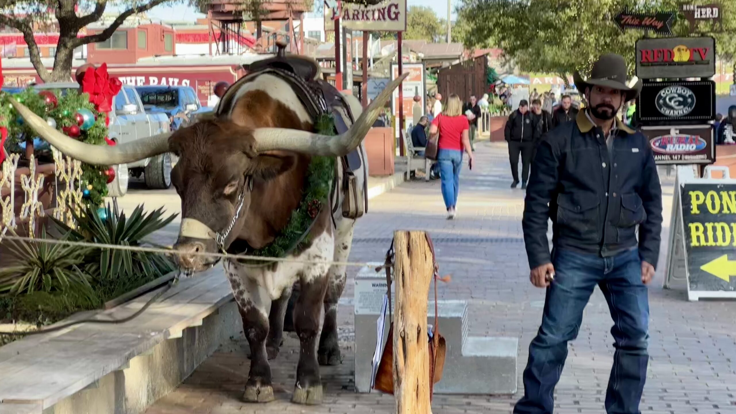At the Stockyards