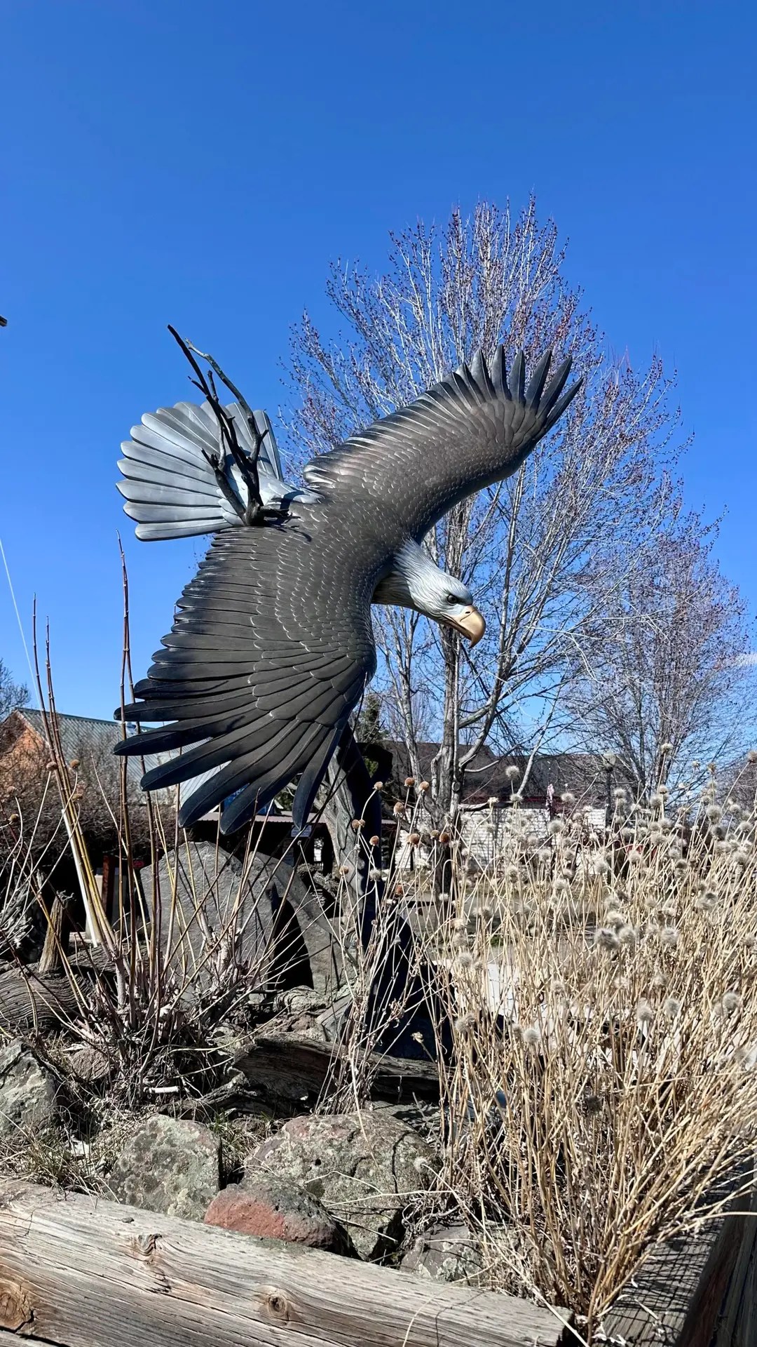 Bald Eagle statue