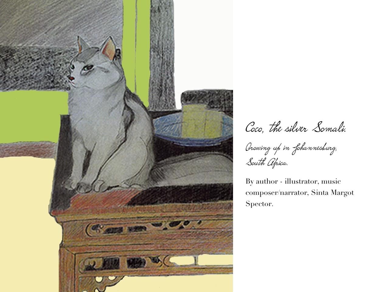 Coco the Silver Somali, growing up in Johannesburg, South Africa. By Sinta Margot Spector