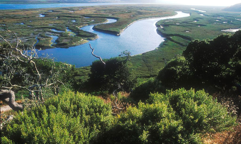Read this post for more details on your . Kayaking In Elkhorn Slough