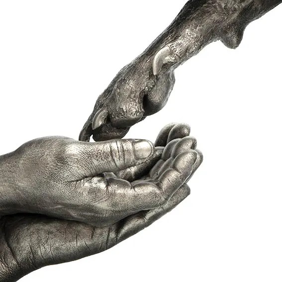 Primer plano de escultura de resina de dos manos. La pata de una mascota desciende y toca las manos de un adulto, con acabado metálico en tono plata envejecida. Detalle de fundición de recuerdo que capta la unión y el afecto entre humano y animal.