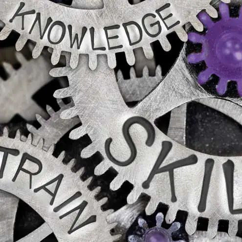 Nomo Services - Landscape Photo Collection - HD Quality