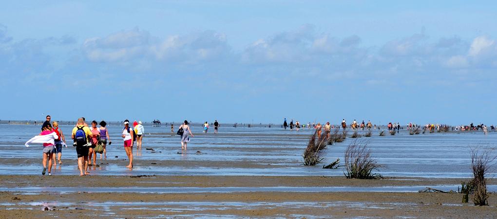 amrum10