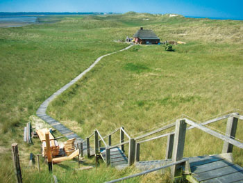 amrum11