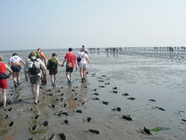 amrum12