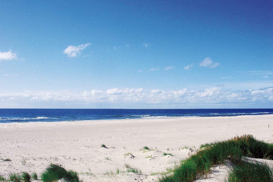 amrum2